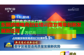 东丽跨境电商创业培训助力青年创新发展新征程