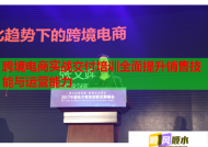 跨境电商实战交付培训全面提升销售技能与运营能力