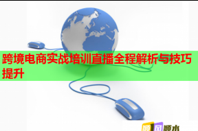 跨境电商实战培训直播全程解析与技巧提升