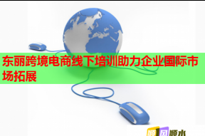 东丽跨境电商线下培训助力企业国际市场拓展