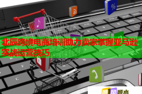 北辰跨境电商培训助力卖家掌握亚马逊实战运营技巧