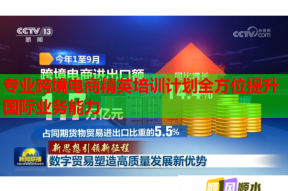 专业跨境电商精英培训计划全方位提升国际业务能力