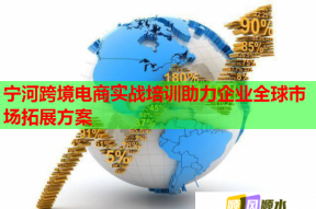 宁河跨境电商实战培训助力企业全球市场拓展方案