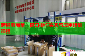 跨境电商单一窗口操作实务与应用培训课程