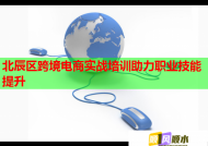 北辰区跨境电商实战培训助力职业技能提升