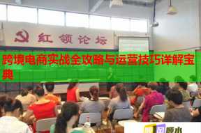 跨境电商实战全攻略与运营技巧详解宝典