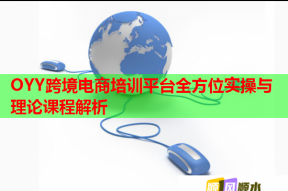 OYY跨境电商培训平台全方位实操与理论课程解析