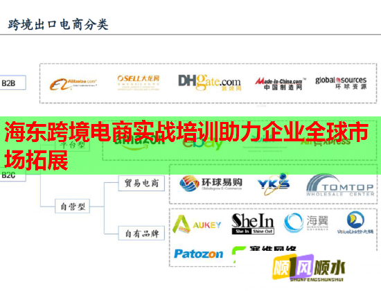 海东跨境电商实战培训助力企业全球市场拓展  第2张