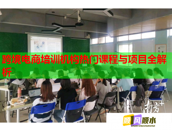 跨境电商培训机构热门课程与项目全解析  第1张