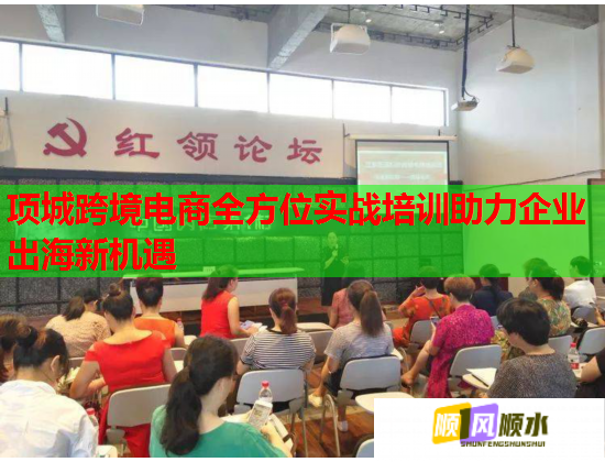 项城跨境电商全方位实战培训助力企业出海新机遇  第2张