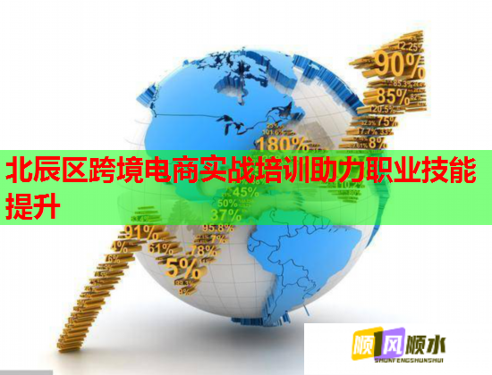 北辰区跨境电商实战培训助力职业技能提升  第1张