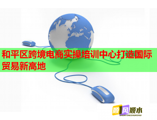 和平区跨境电商实操培训中心打造国际贸易新高地  第1张