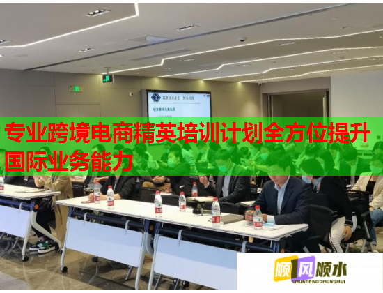 专业跨境电商精英培训计划全方位提升国际业务能力  第3张