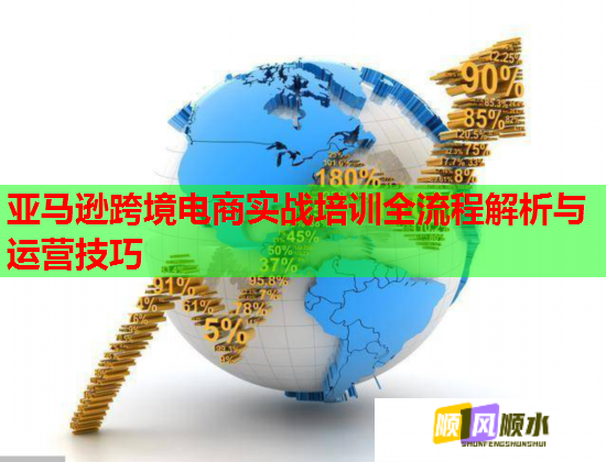 亚马逊跨境电商实战培训全流程解析与运营技巧  第3张
