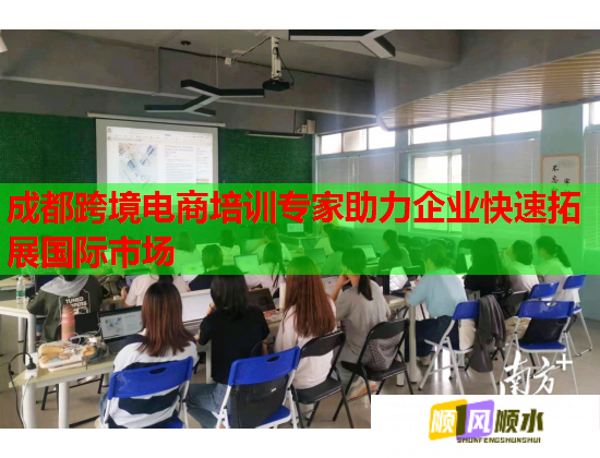 成都跨境电商培训专家助力企业快速拓展国际市场  第2张