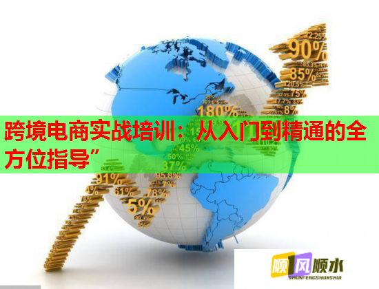 跨境电商实战培训：从入门到精通的全方位指导”  第2张