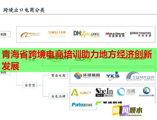 青海省跨境电商培训助力地方经济创新发展  第1张