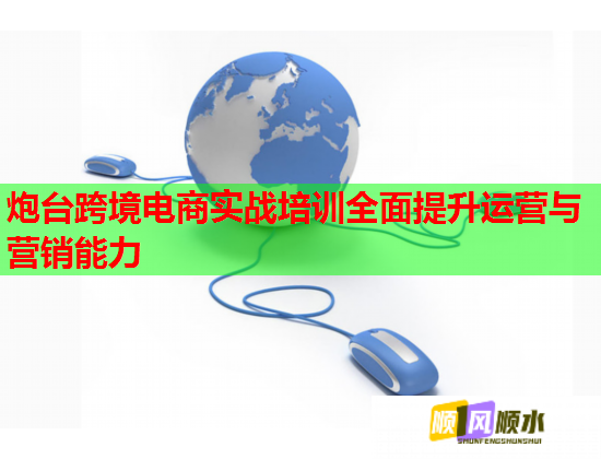 炮台跨境电商实战培训全面提升运营与营销能力  第1张