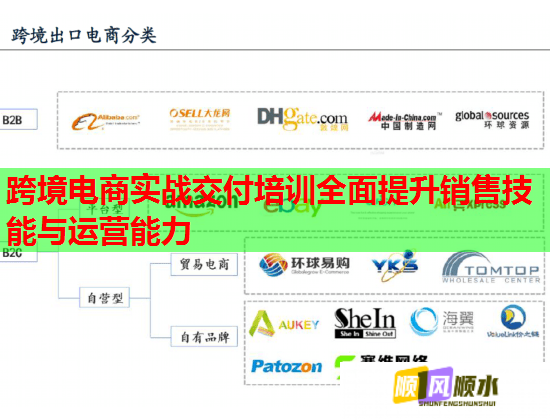 跨境电商实战交付培训全面提升销售技能与运营能力  第1张