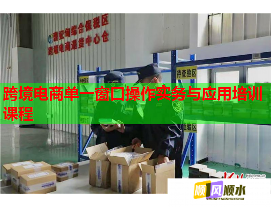 跨境电商单一窗口操作实务与应用培训课程  第1张
