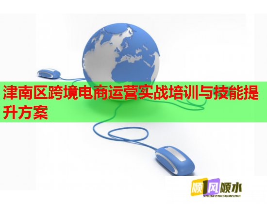 津南区跨境电商运营实战培训与技能提升方案  第1张
