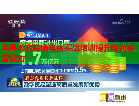 乌鲁木齐跨境电商实战培训提升电商运营能力  第3张