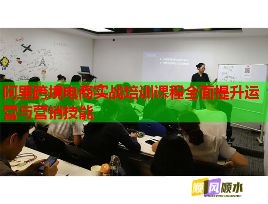 阿里跨境电商实战培训课程全面提升运营与营销技能  第1张