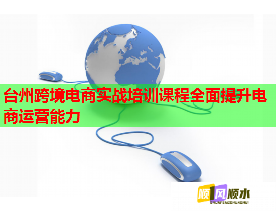 台州跨境电商实战培训课程全面提升电商运营能力  第3张