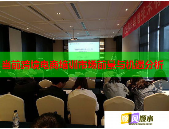 当前跨境电商培训市场前景与机遇分析  第1张
