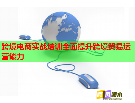 跨境电商实战培训全面提升跨境贸易运营能力  第2张