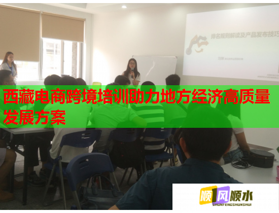 西藏电商跨境培训助力地方经济高质量发展方案  第1张