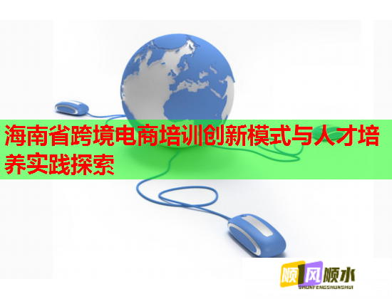 海南省跨境电商培训创新模式与人才培养实践探索  第1张
