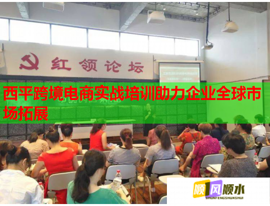 西平跨境电商实战培训助力企业全球市场拓展  第2张