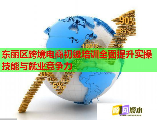 东丽区跨境电商初级培训全面提升实操技能与就业竞争力  第1张
