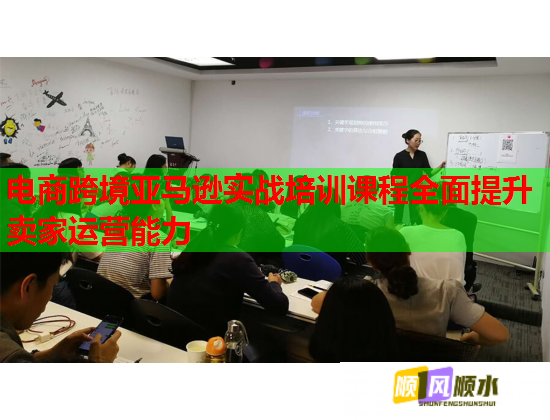 电商跨境亚马逊实战培训课程全面提升卖家运营能力  第1张