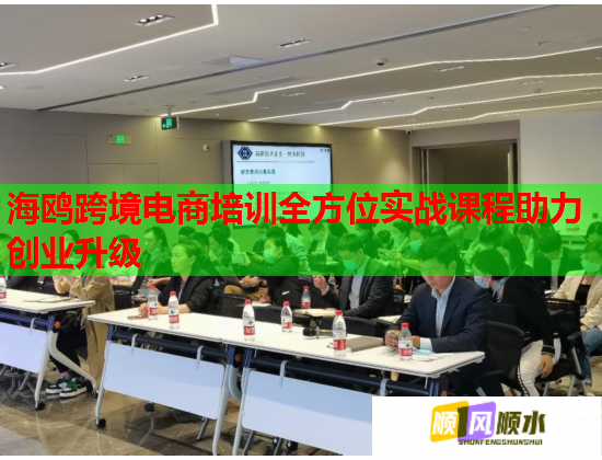 海鸥跨境电商培训全方位实战课程助力创业升级  第1张