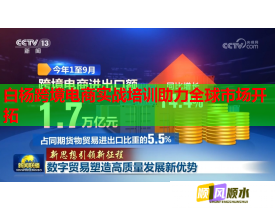 白杨跨境电商实战培训助力全球市场开拓  第1张
