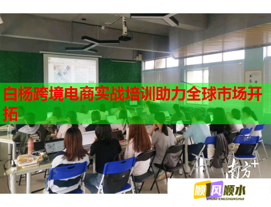 白杨跨境电商实战培训助力全球市场开拓  第2张