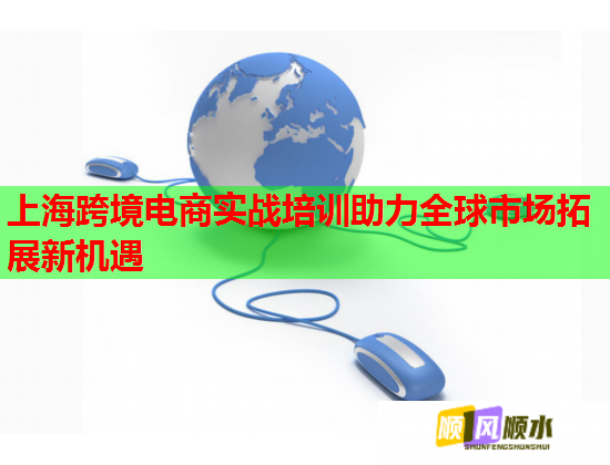 上海跨境电商实战培训助力全球市场拓展新机遇  第1张