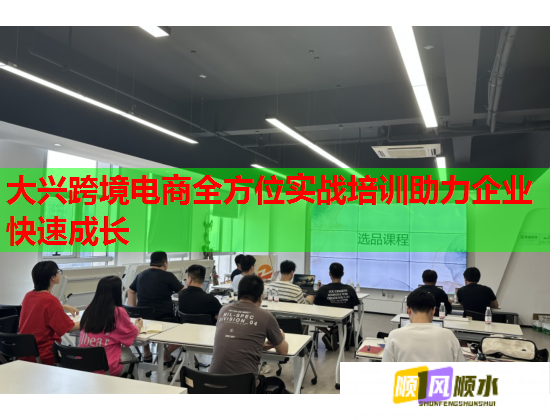 大兴跨境电商全方位实战培训助力企业快速成长  第3张