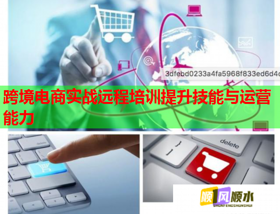跨境电商实战远程培训提升技能与运营能力  第2张