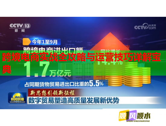 跨境电商实战全攻略与运营技巧详解宝典  第2张