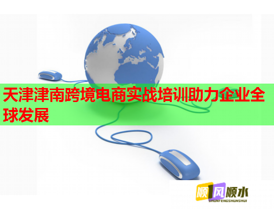 天津津南跨境电商实战培训助力企业全球发展  第1张