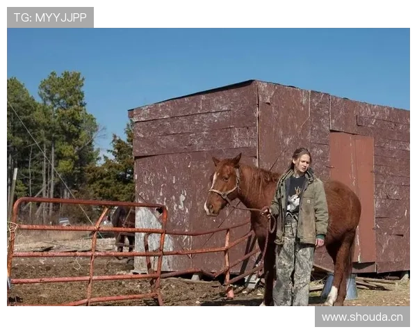 《冬天的骨头》:在严酷岁月中,探寻人性的坚韧与微光 《冬天的骨头》:在严酷岁月中,探寻人性的坚韧与微光