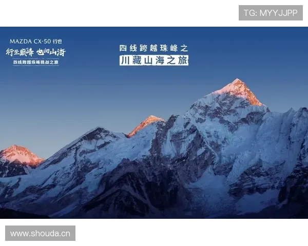 攀登巅峰：一条属于你的“发达之路”